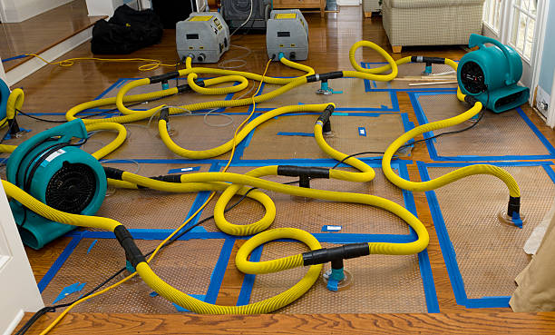 Professional Basement Flood Cleanup technician working in Stamping Ground, KY